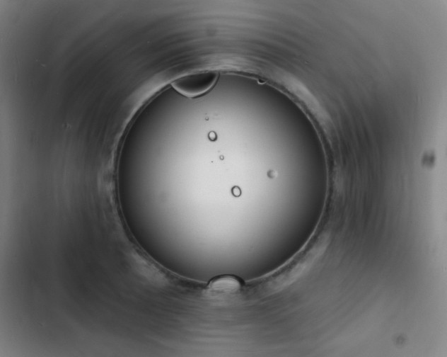 X0000103301089200808291359