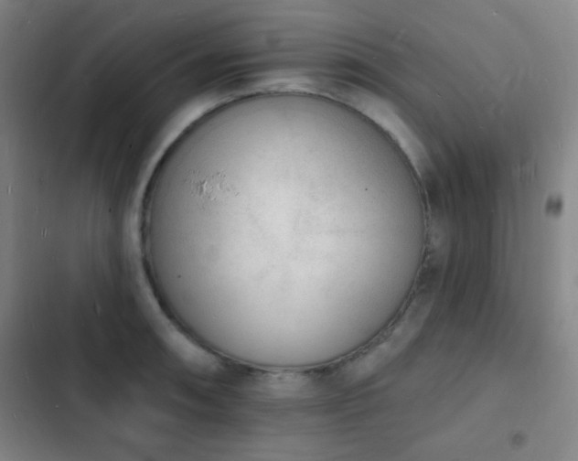 X0000103301090200808291359