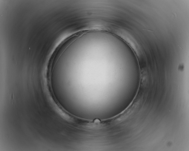 X0000103301091200808291359