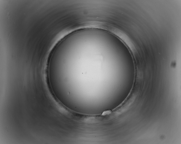 X0000103301093200808291359