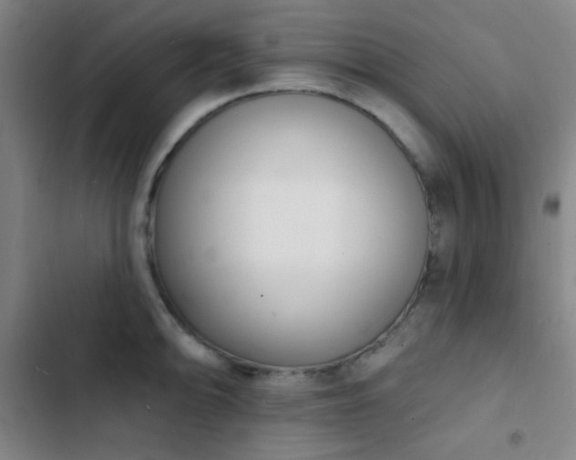 X0000103301094200808291359