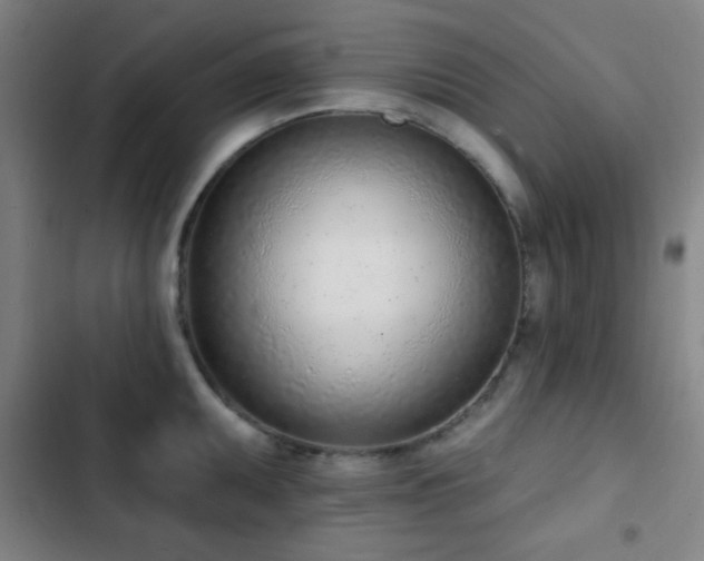 X0000103301095200808291359