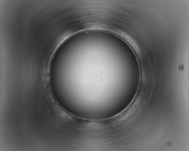 X0000103301097200808291359