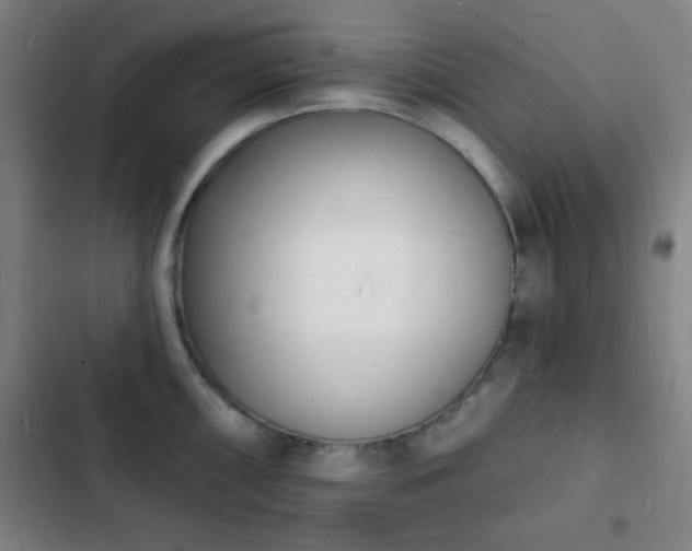 X0000103301098200808291359