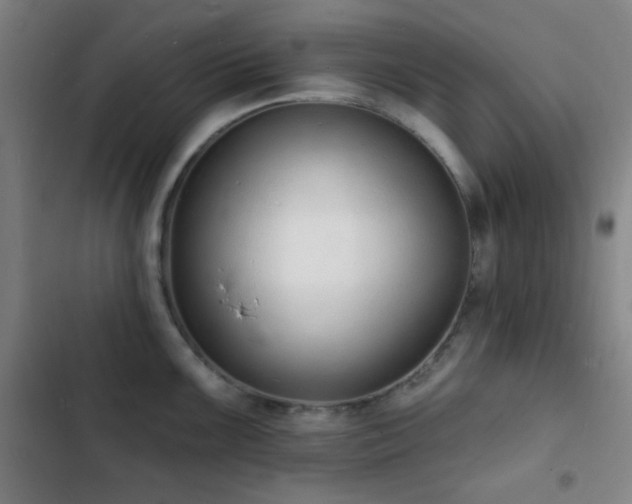 X0000103301099200808291359