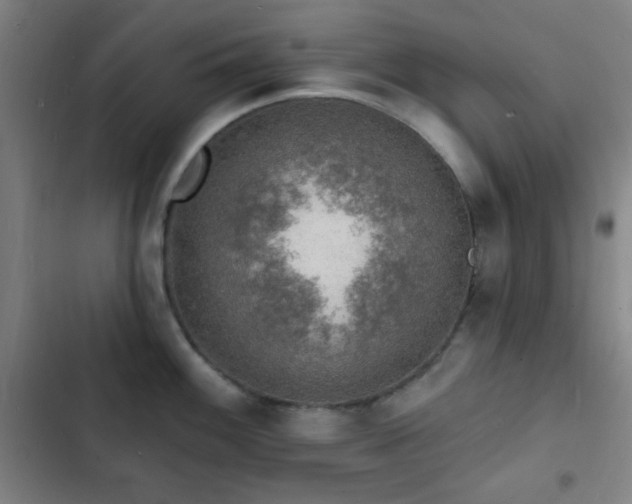 X0000103301100200808291359