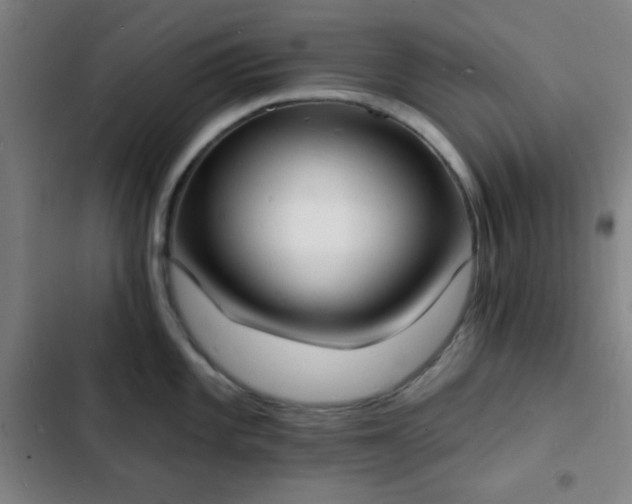 X0000103301101200808291359