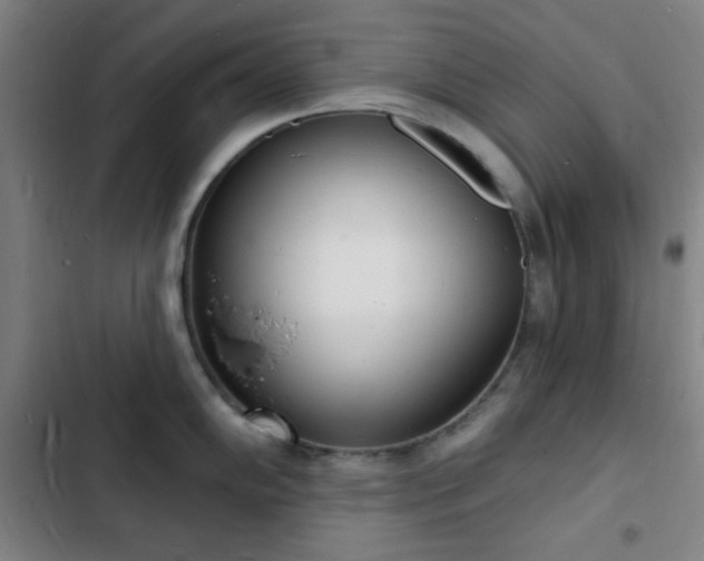 X0000103301102200808291359