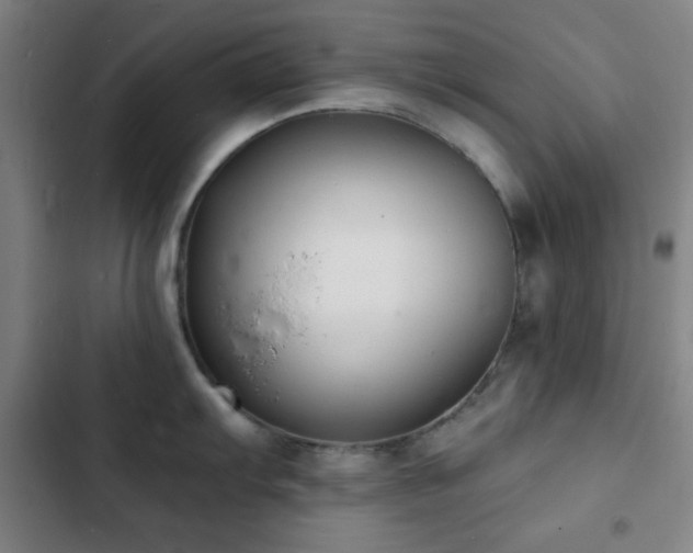 X0000103301103200808291359