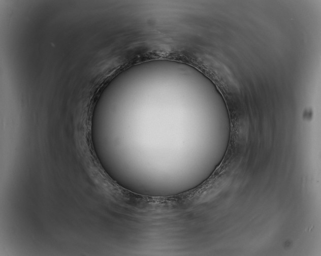 X0000103301105200808291358