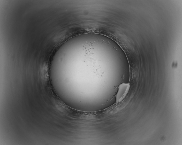 X0000103301106200808291358
