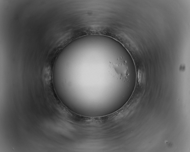 X0000103301107200808291358