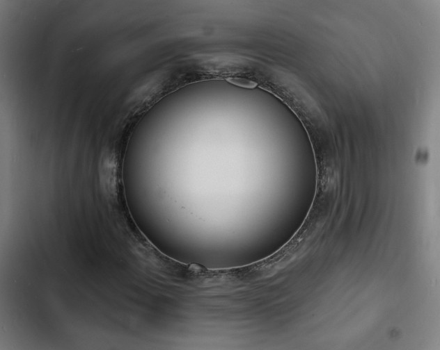X0000103301108200808291358