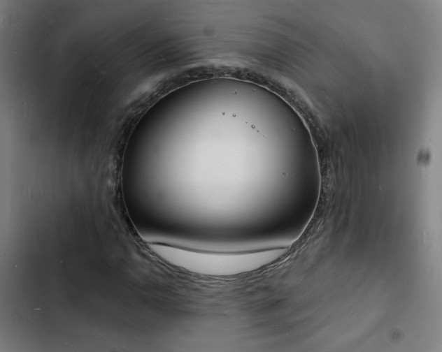 X0000103301110200808291358
