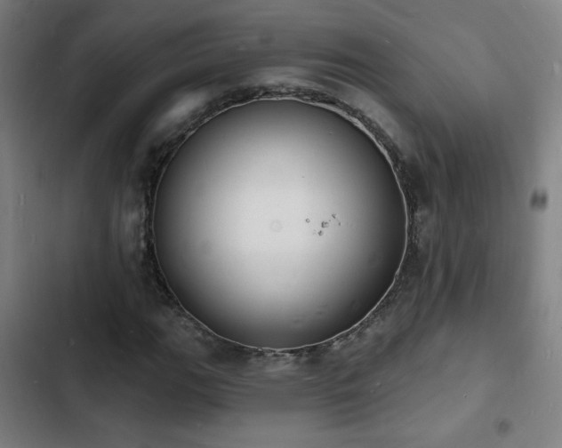 X0000103301111200808291358