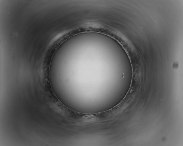 X0000103301112200808291358