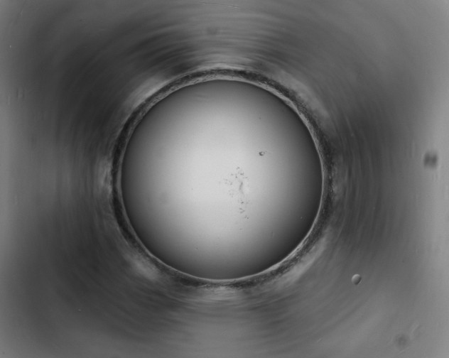 X0000103301113200808291358