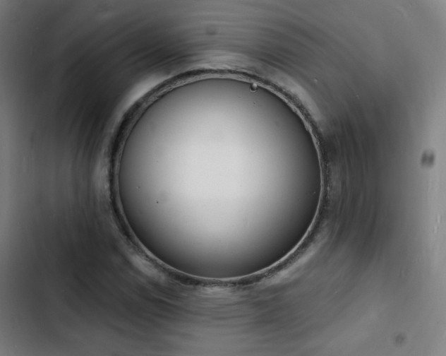 X0000103301114200808291358