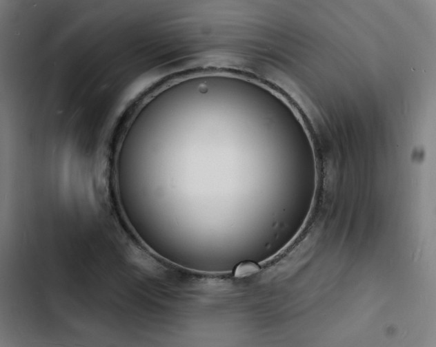 X0000103301115200808291358