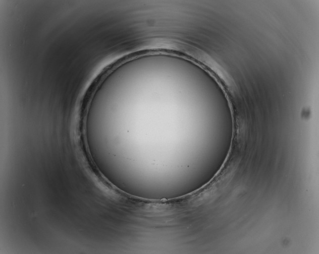 X0000103301116200808291358