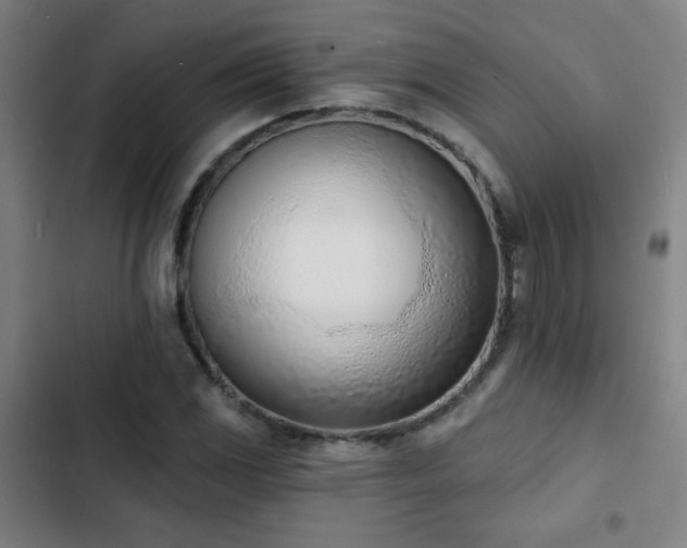 X0000103301117200808291358