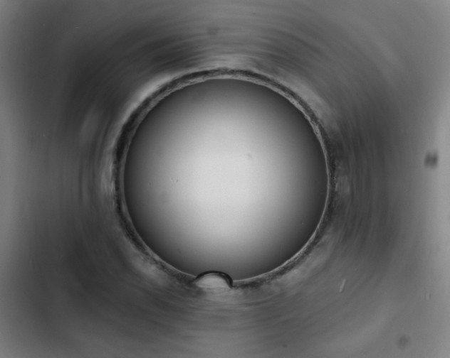 X0000103301118200808291359