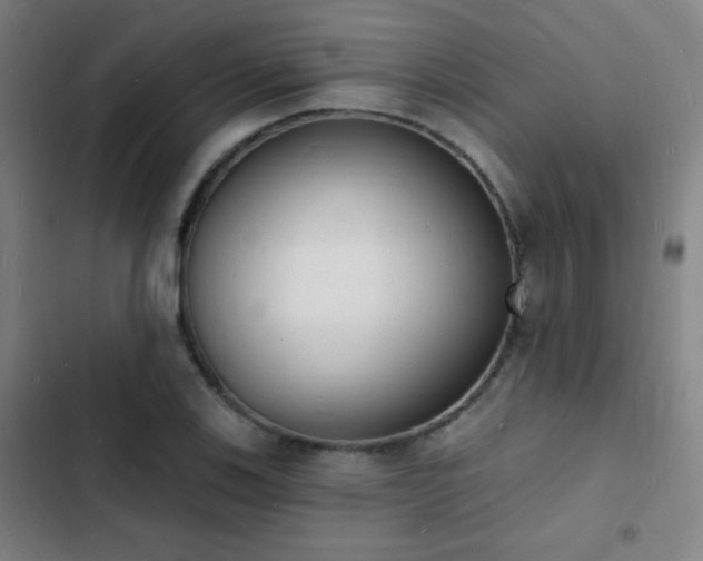 X0000103301123200808291359