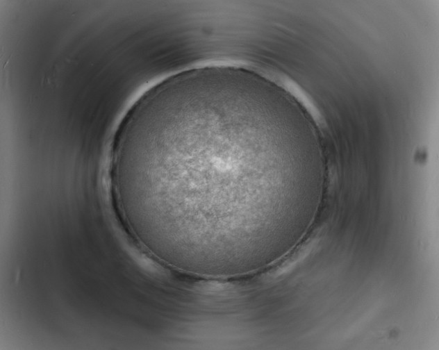 X0000103301124200808291359