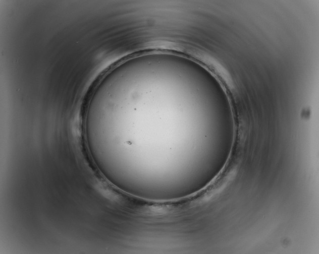 X0000103301125200808291359