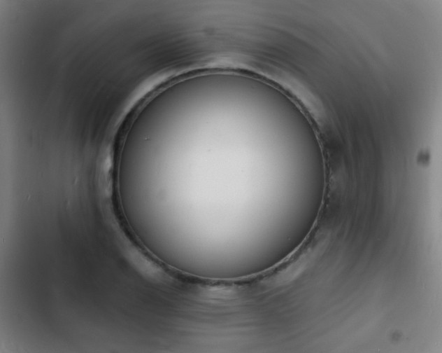 X0000103301126200808291359