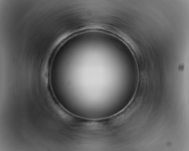 X0000103301127200808291359