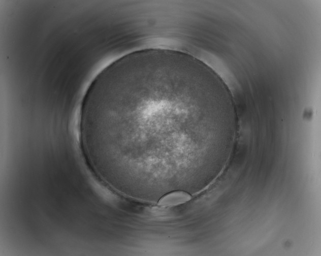 X0000103301128200808291359