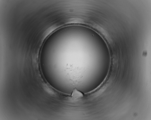 X0000103301129200808291359