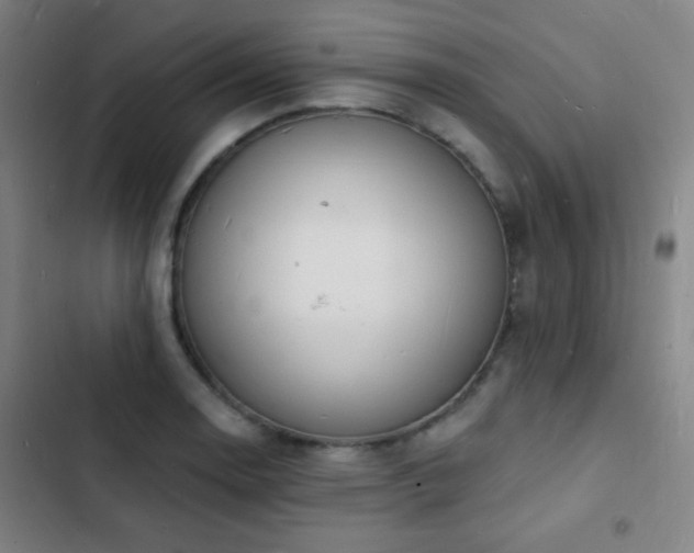 X0000103301130200808291359
