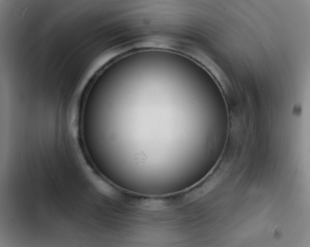 X0000103301131200808291359