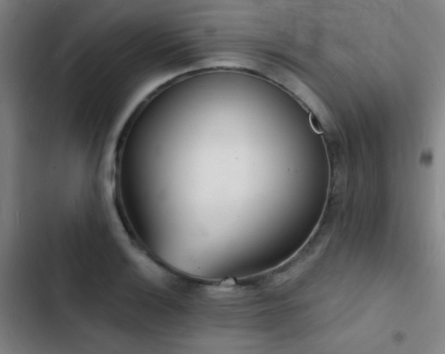 X0000103301132200808291359