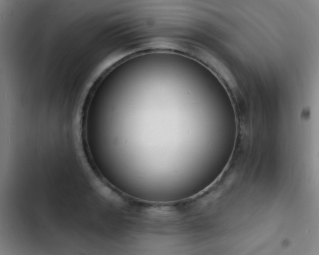 X0000103301133200808291359