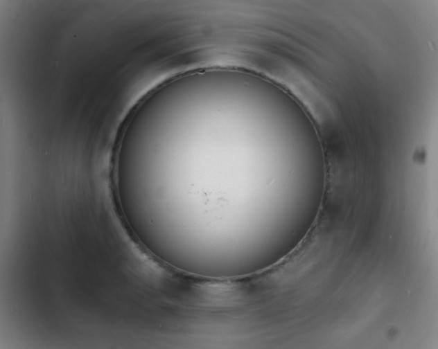 X0000103301134200808291359