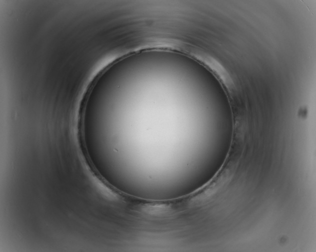 X0000103301135200808291359