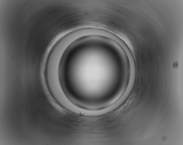 X0000103301136200808291359