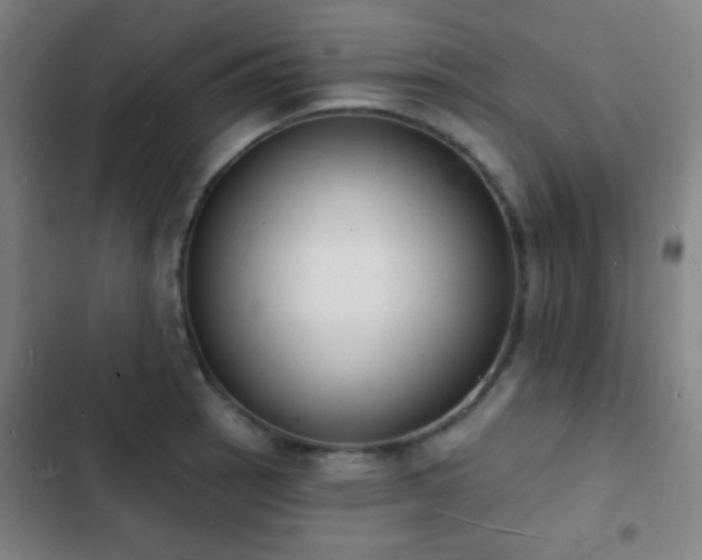 X0000103301137200808291359