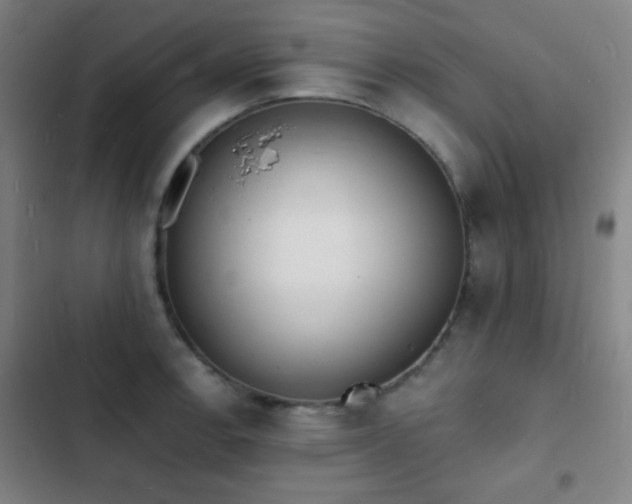 X0000103301138200808291359
