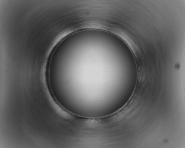 X0000103301139200808291359