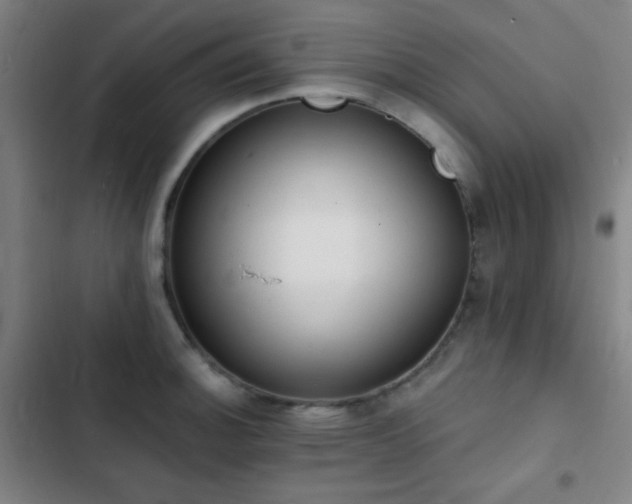 X0000103301140200808291359