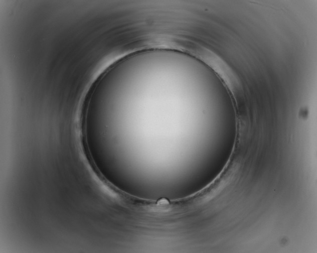 X0000103301141200808291359