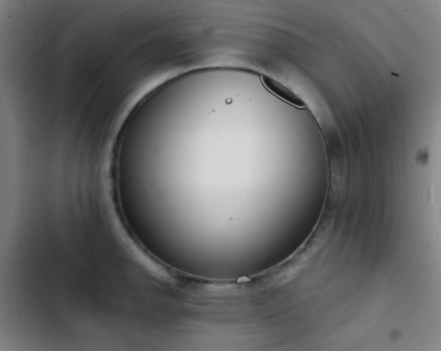 X0000103301142200808291359