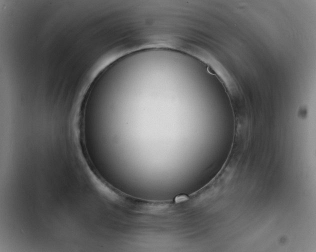 X0000103301143200808291359