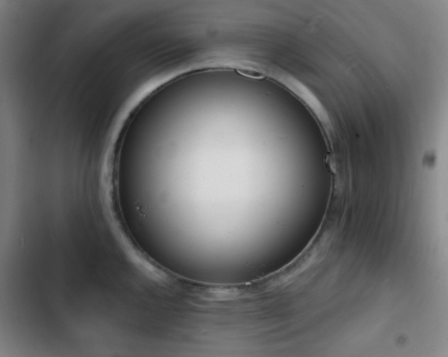 X0000103301144200808291359