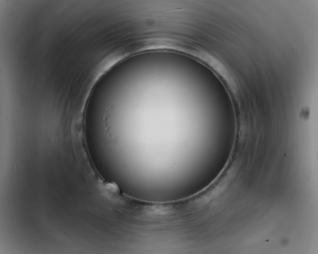 X0000103301145200808291359