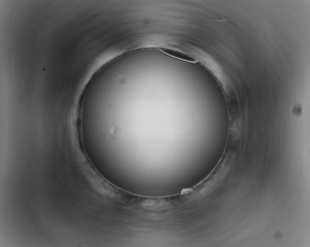 X0000103301146200808291359